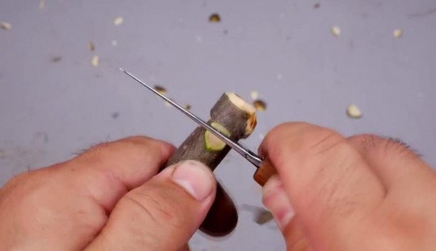 Foto - Büyükbabasının evinde şans eseri buldu! Son hali herkesi şaşırttı