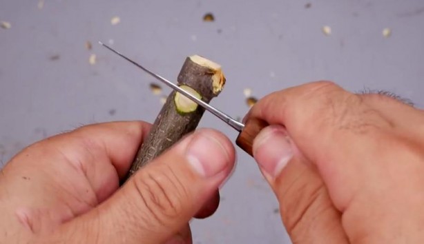 Foto - Büyükbabasının evinde şans eseri buldu! Son hali herkesi şaşırttı