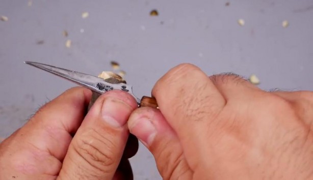 Foto - Büyükbabasının evinde şans eseri buldu! Son hali herkesi şaşırttı