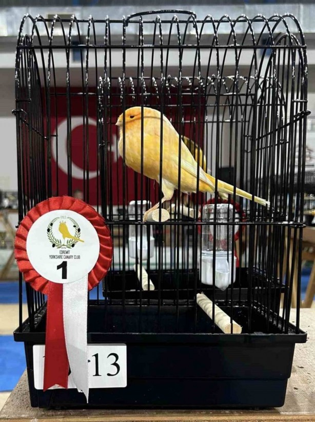 Foto - Büyüklüğünü görenin gözleri fal taşı gibi açılıyor! Herkes şaşkın! Orada ortaya çıktı
