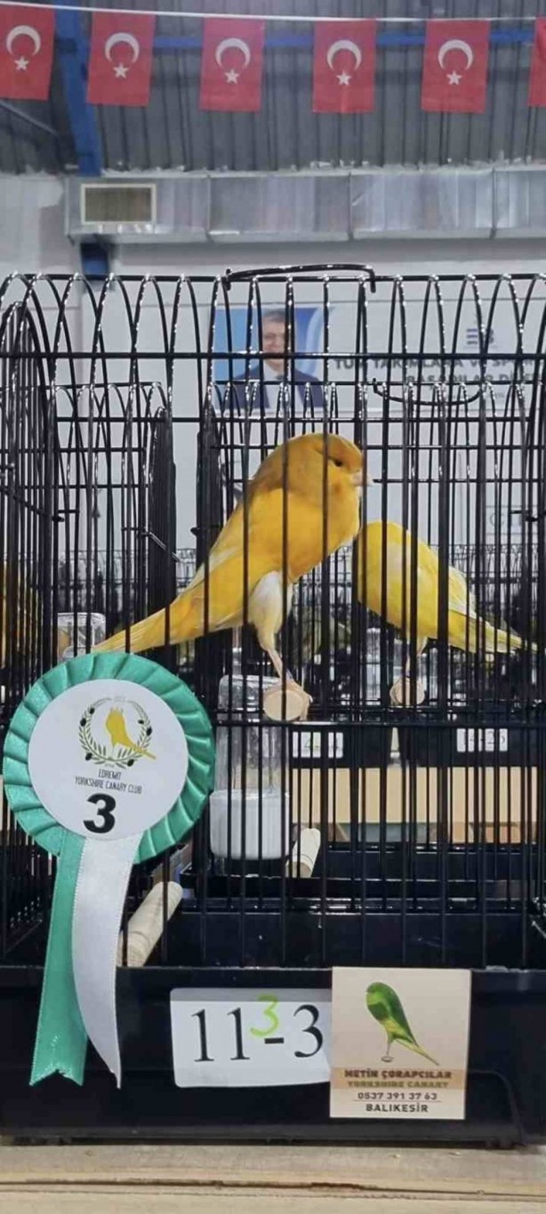 Foto - Büyüklüğünü görenin gözleri fal taşı gibi açılıyor! Herkes şaşkın! Orada ortaya çıktı