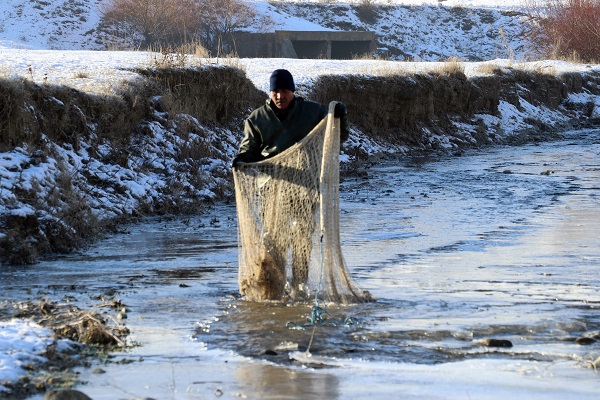 Buz tutan nehirde zorlu balık avı