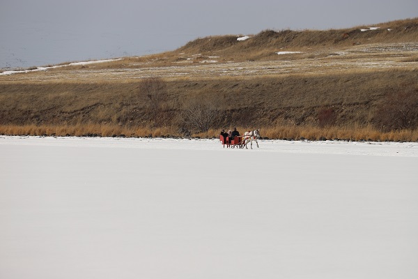 Foto - Buz üstünde atlı kızak keyfi