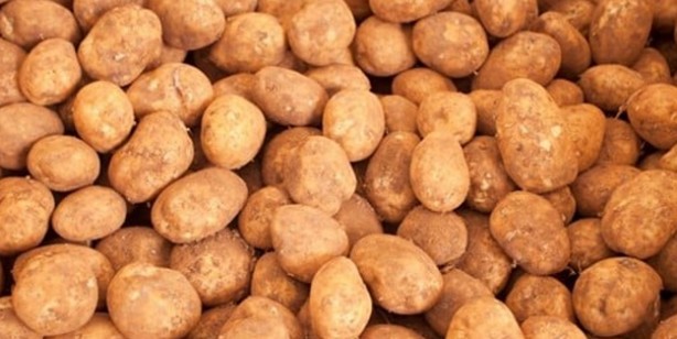 Foto - Buzdolabına koyarsanız zehire dönüşüyor: İşte içindeki sinsi tehlike belli oldu! Aman dikkat, şokunu yaşamayın