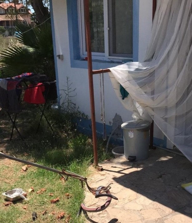 Buzdolabının altından 2 metrelik yılan çıktı