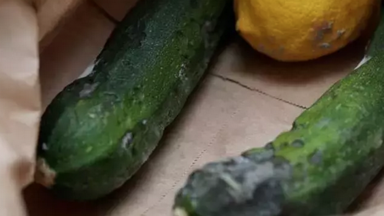 Foto - Buzdolabının sebzelik kısmına koymak yetiyor! Sebze meyvelerin çürümesini önlüyor, 1 hafta tazelik sağlıyor!