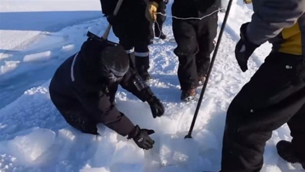 Foto - Buzların arasından çıktı