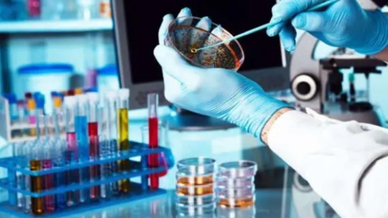 Foto - Buzulların altındaki sır ortaya çıktı: Salgının nedeni o mikrop mu?