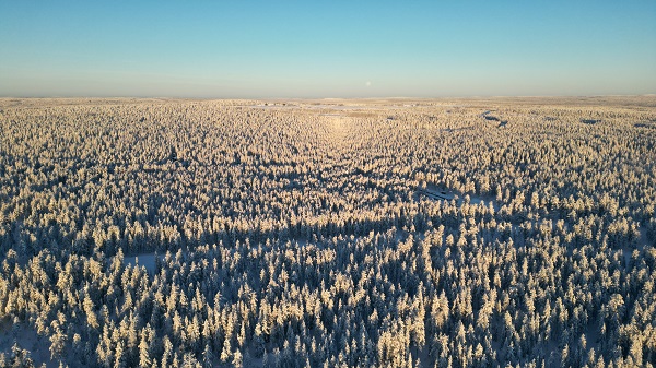 Foto - Buzulların arasında bir ülke: Finlandiya