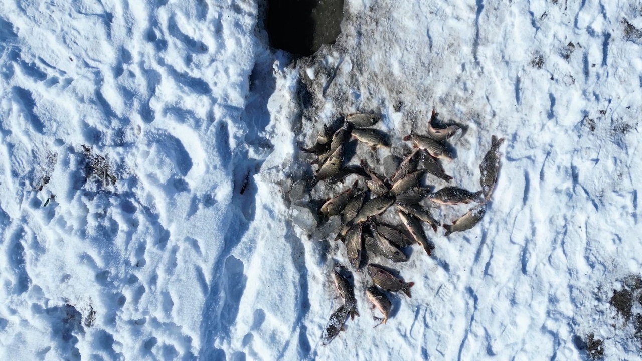 Buzun altından gelen lezzet! ‘Eskimo usulü’ balık avı