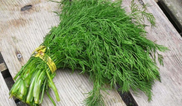 Foto - C vitamini en çok hangi besinlerde bulunur? Hangi besinde ne kadar C vitamini var?