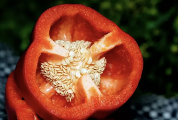Foto - C vitamini takviyesi için portakalı ve limonu unutun! Kanser riskini azaltmanın yanında vitaminin kaynağı bu besin!