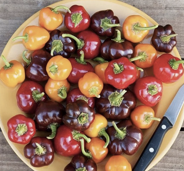 Foto - C vitamini takviyesi için portakalı ve limonu unutun! Kanser riskini azaltmanın yanında vitaminin kaynağı bu besin!