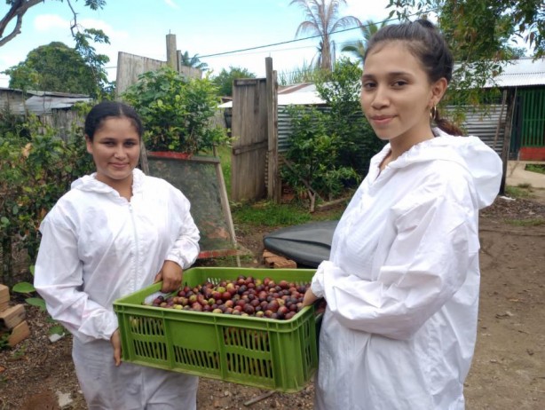 Foto - C vitaminin zirvesi bu meyve! Ne limon ne portakal! Bulamayan tozunu kaşık kaşık tüketiyor! En önemlisi yaşlanmayı yavaşlatıyor!