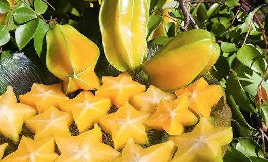 Foto - C vitamininde limonu sollayan tek meyve! Tanesi 54 lira: Kalsiyum, magnezyum ve demir zengini!