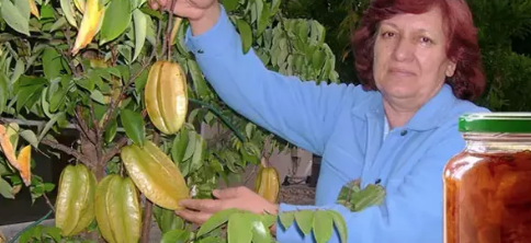 C vitamininde limonu sollayan tek meyve! Tanesi 54 lira: Kalsiyum, magnezyum ve demir zengini!