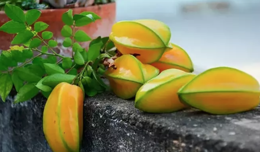 Foto - C vitamininde limonu sollayan tek meyve! Tanesi 54 lira: Kalsiyum, magnezyum ve demir zengini!