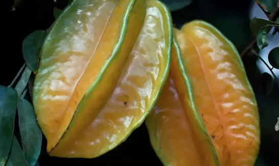 Foto - C vitamininde limonu sollayan tek meyve! Tanesi 54 lira: Kalsiyum, magnezyum ve demir zengini!