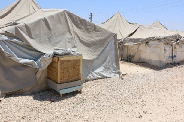 Foto - Çadırkentte icat etti, yok satıyor