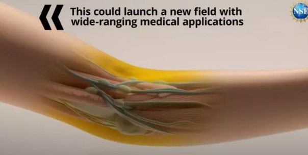 Foto - Çağ atlatacak buluş: İnsan derisini görünmez yaptılar!