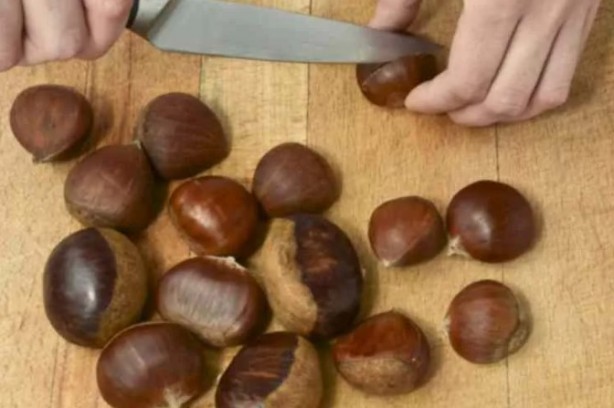 Foto - Çağımızın en büyük hastalığına iyi geliyor!