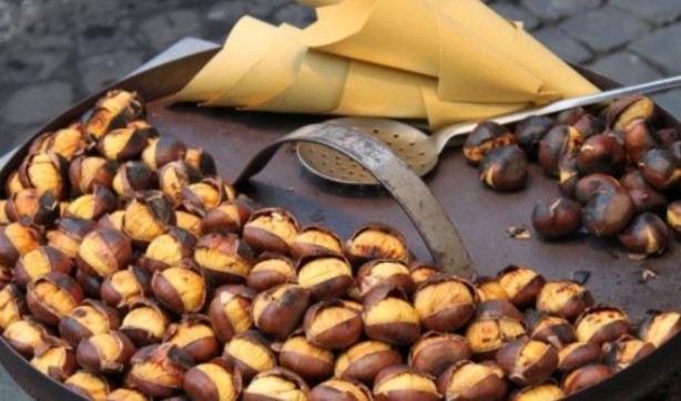 Foto - Çağımızın en büyük hastalığına iyi geliyor!