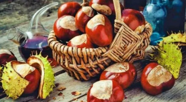 Foto - Çağımızın en büyük hastalığına iyi geliyor!