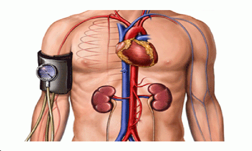 Foto - Çağımızın en büyük hastalığına iyi geliyor!