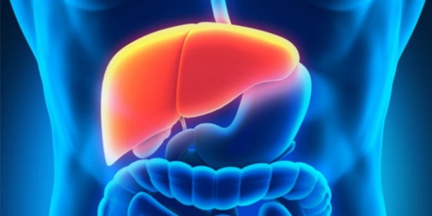 Foto - Çağımızın en büyük hastalığına iyi geliyor!