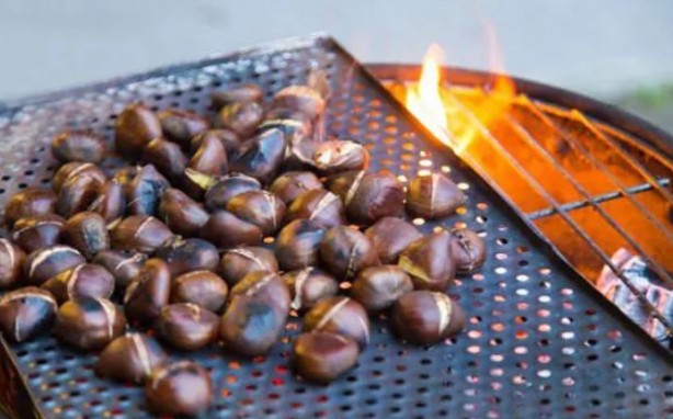 Foto - Çağımızın en büyük hastalığına iyi geliyor!