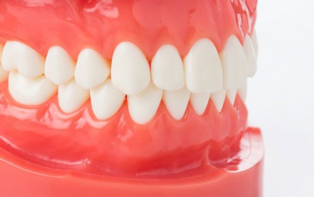 Foto - Çağımızın en büyük hastalığına iyi geliyor!