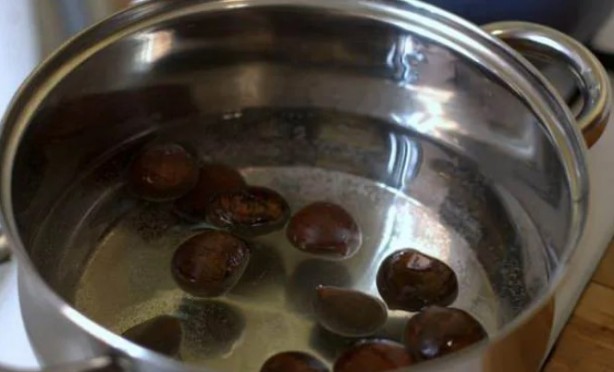 Foto - Çağımızın en büyük hastalığına iyi geliyor!