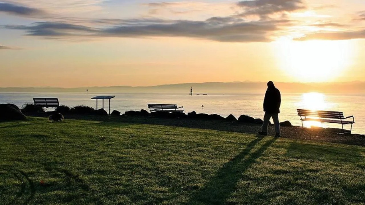 Foto - Çağın en sinsi tehdidi: Dijital yalnızlık erken ölüm riskini artırıyor