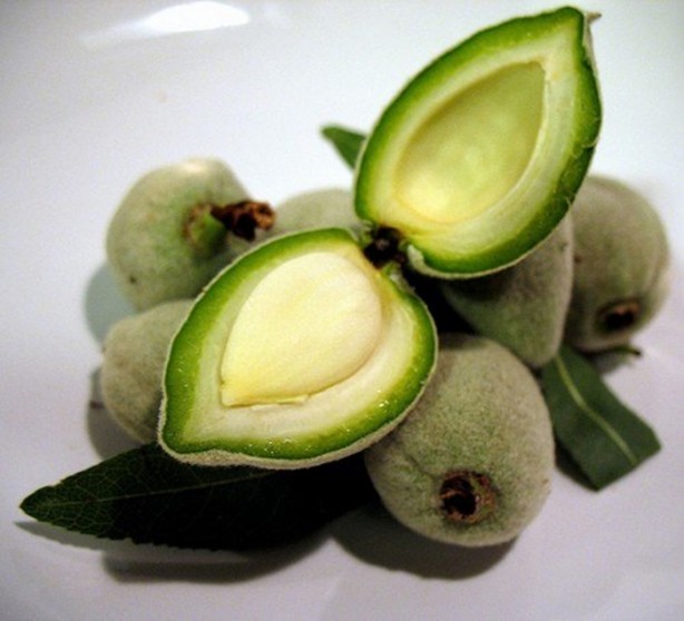 Foto - Çağlanın faydalarını biliyor musunuz?