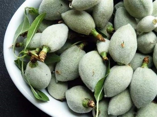 Foto - Çağlanın faydalarını biliyor musunuz?