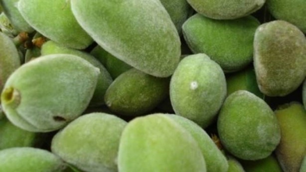 Foto - Çağlanın faydalarını biliyor musunuz?