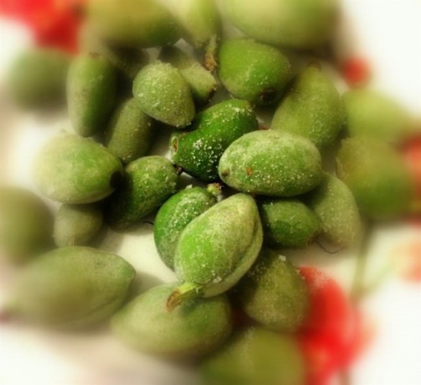 Foto - Çağlanın faydalarını biliyor musunuz?