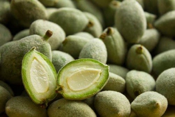 Foto - Çağlanın faydalarını biliyor musunuz?