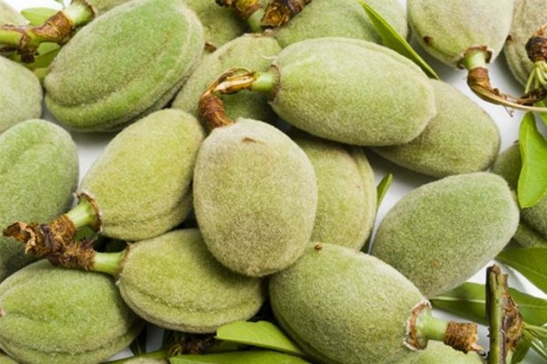 Foto - Çağlanın faydalarını biliyor musunuz?