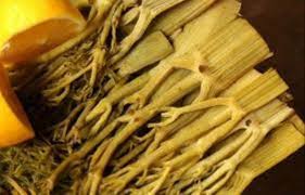 Foto - Çakşır otu (kökü): Bir kez yiyen bir daha vitamin kullanmıyor! Pahalı ilaç ürünleri, harcamaları yerine doğal alalım