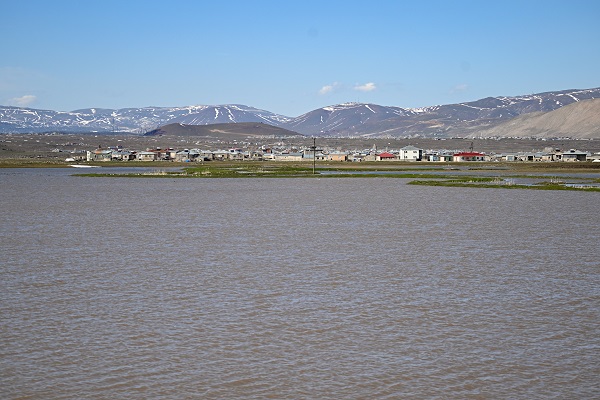 Foto - Çaldıran Ovası'nda araziler su altında kaldı