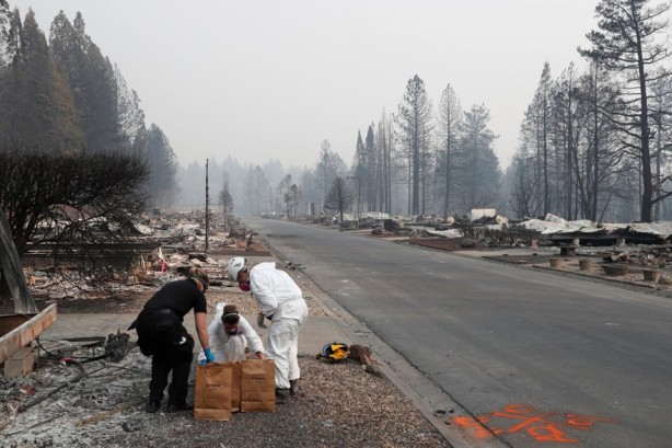 Foto - California tarihinin en büyük yangını kontrol altına alındı