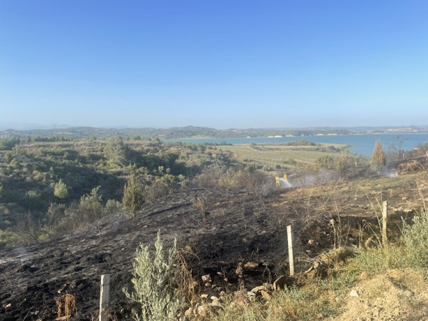 Foto - Çalılıkta çıkan yangın ormana sıçramadan kontrol altına alındı