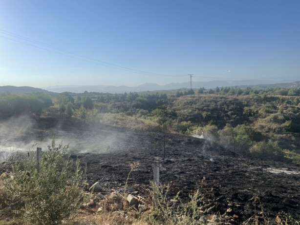Foto - Çalılıkta çıkan yangın ormana sıçramadan kontrol altına alındı