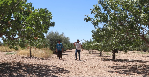 Foto - Çalışacak eleman yok! Burada durmanın günlüğü 1000 tl