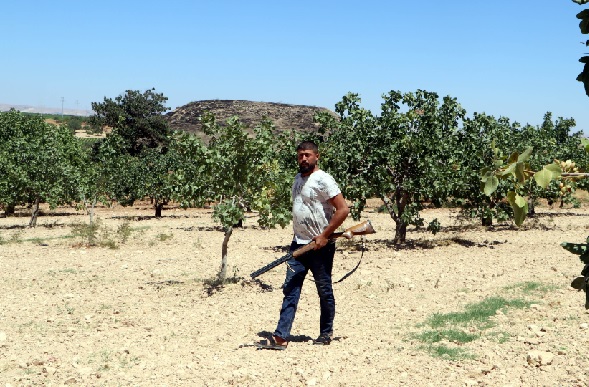 Foto - Çalışacak eleman yok! Burada durmanın günlüğü 1000 tl