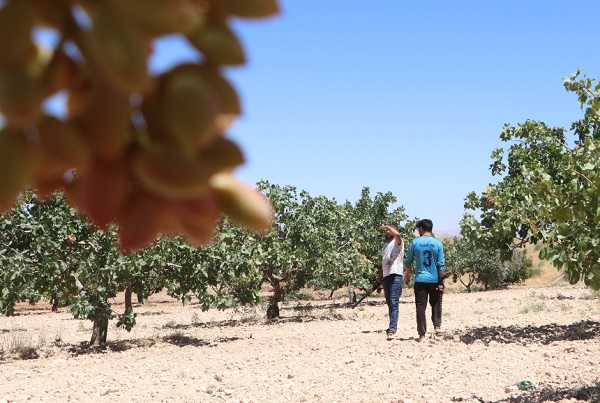 Foto - Çalışacak eleman yok! Burada durmanın günlüğü 1000 tl