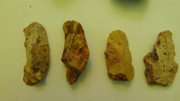 Foto - Çalışmalar 2017'de başladı! İşte 64 bin yıllık büyük sır