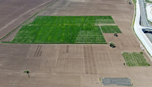 Foto - Çalışmalarda gaza basıldı! Türkiye tarımına damga vuracak bölge
