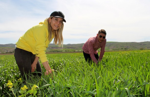 Foto - Çalışmalarda gaza basıldı! Türkiye tarımına damga vuracak bölge